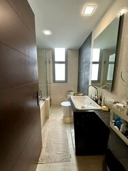 Residences @ Evelyn (D11), Condominium #567753601